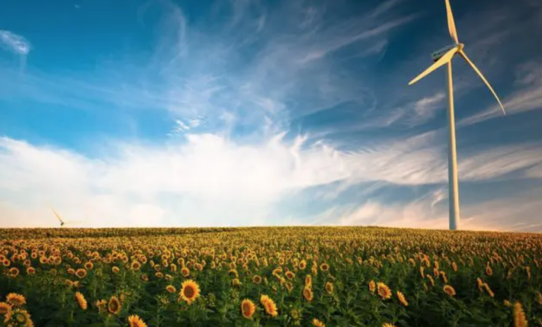 world energy transition outlook