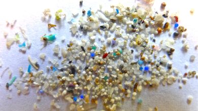 microplastics