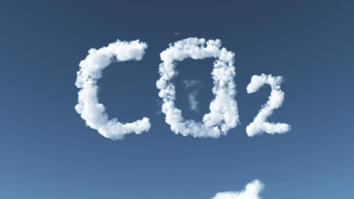 carbon-market