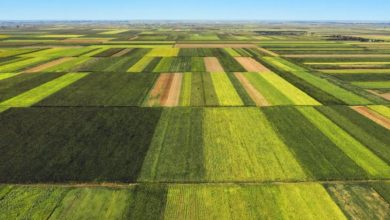 Climate action