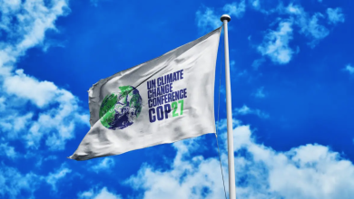 cop27