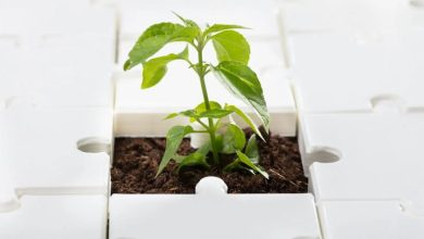 Environmental impacts