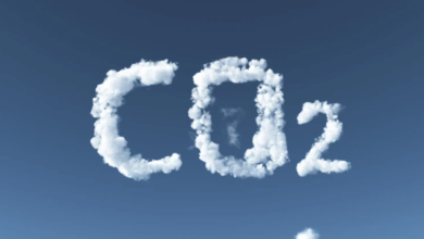 carbon-market