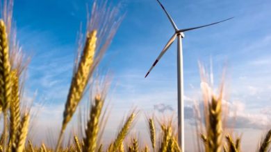 investment in renewables