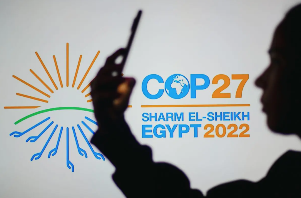 cop27