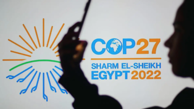 cop27