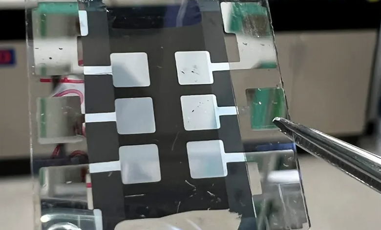 perovskite solar cell