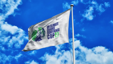 COP27 in Sharm el-Sheikh