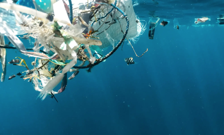 pollution in the Mediterranean sea