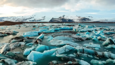 Artic-Ocean-acidification