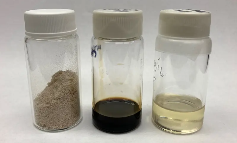 Sustainable Aviation Fuel