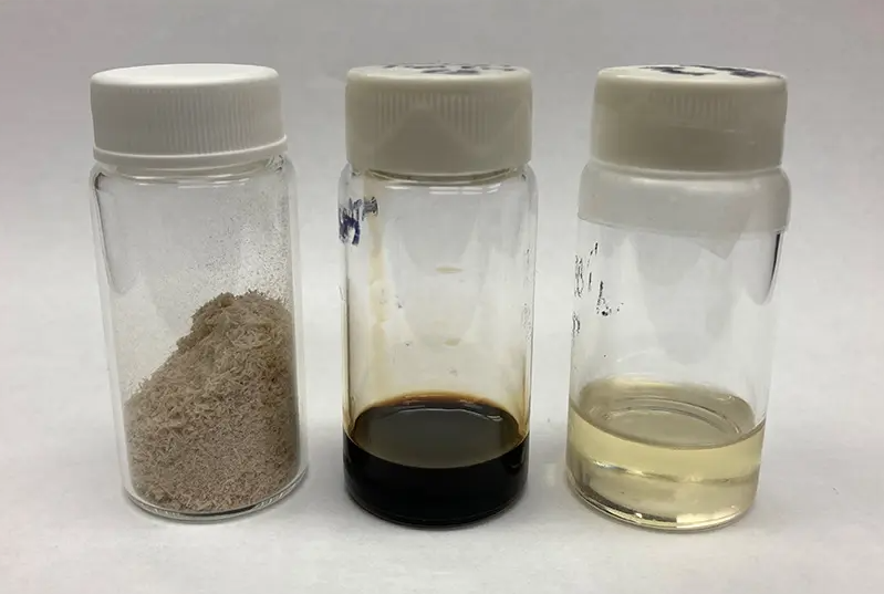 Sustainable Aviation Fuel