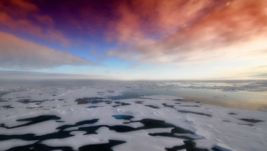 Arctic sea ice