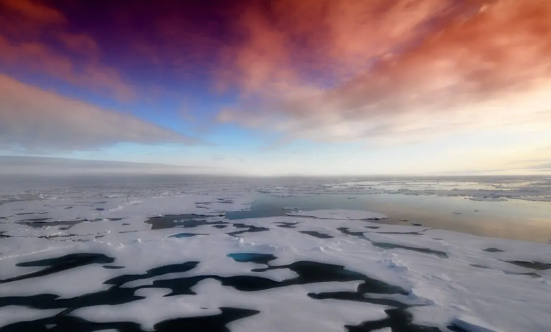 Arctic sea ice