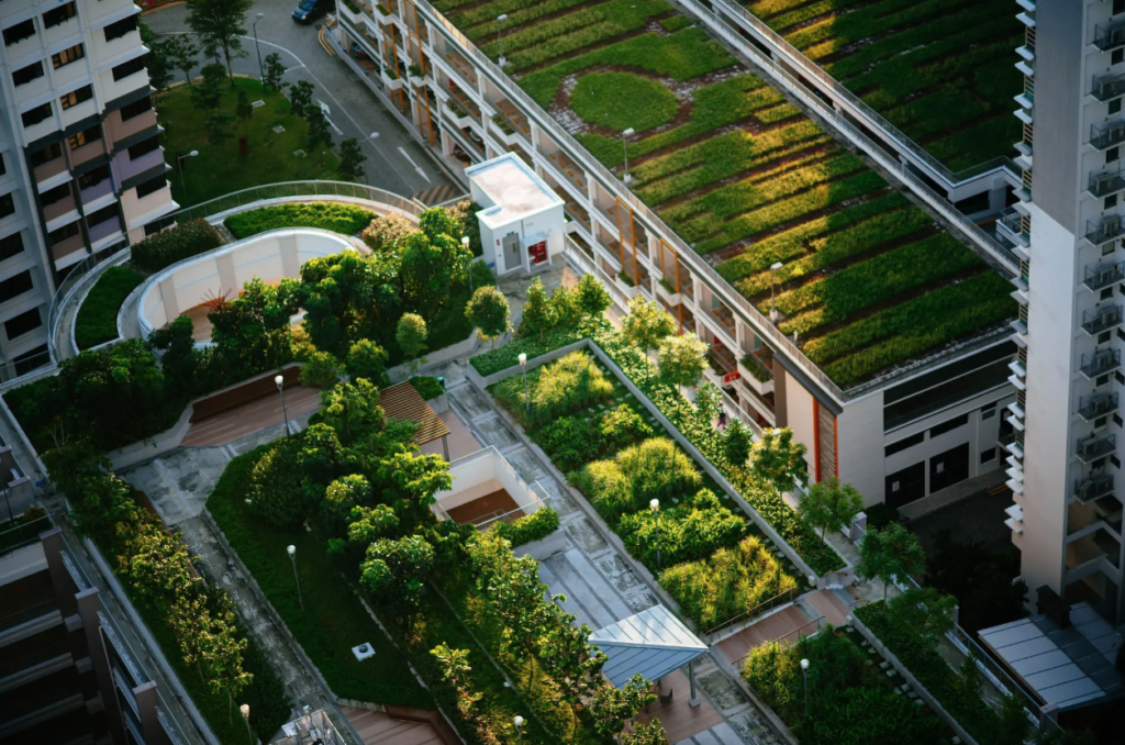 roof garden