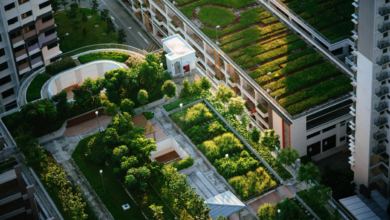 roof garden