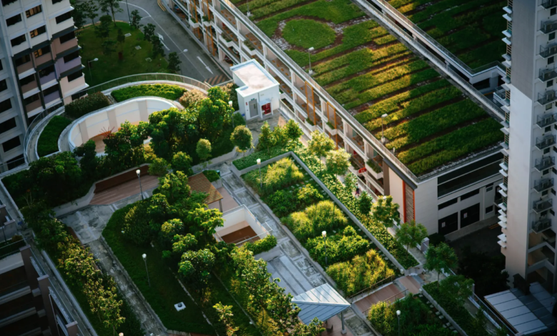 roof garden