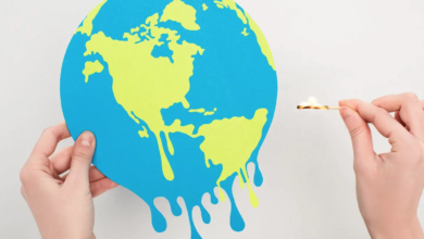 Global climate status
