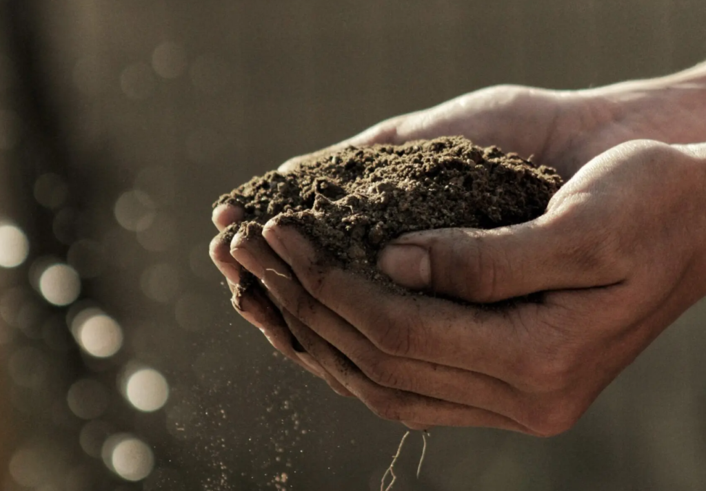 World Soil Day 2022