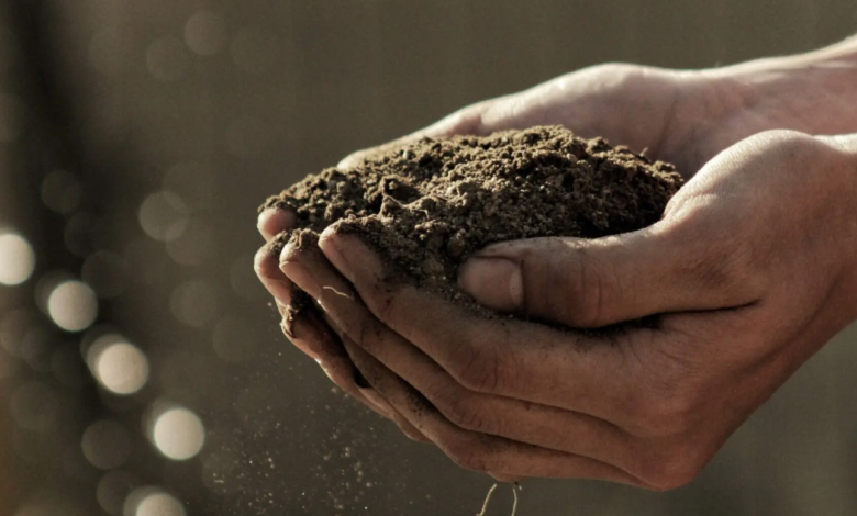 World Soil Day 2022