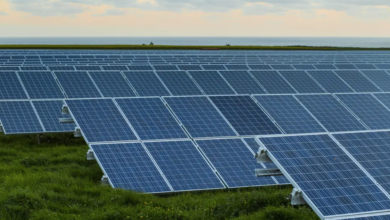 accelerate renewables