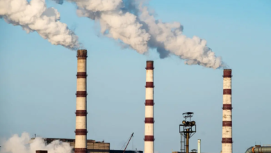Coal phase out