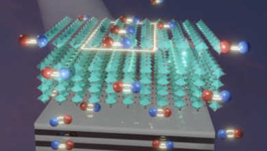 Perovskite photovoltaics