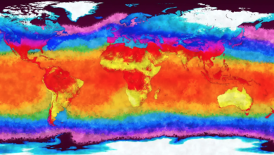 new IPCC Synthesis Report