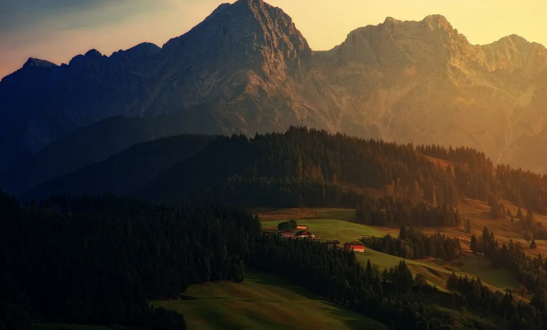 mountain forests