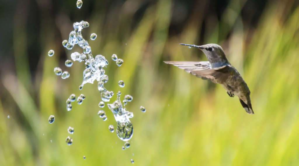 World Water Day 2023