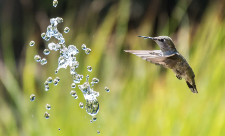 World Water Day 2023