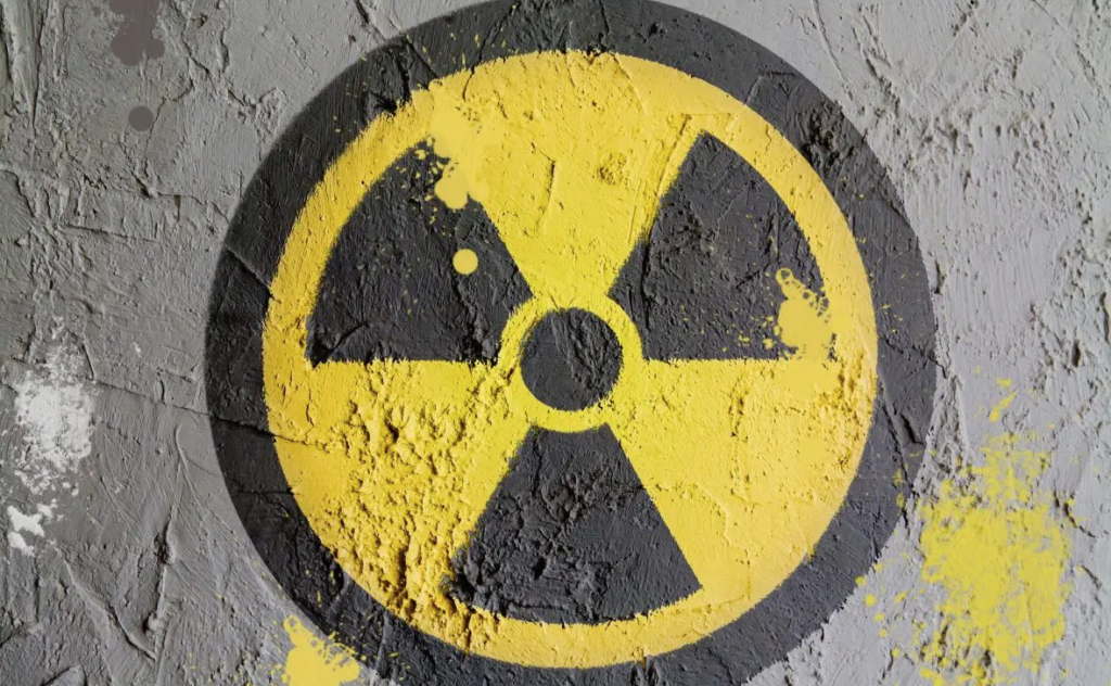 Nuclear power plant in