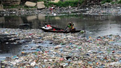 plastic pollution