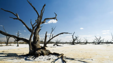 Climate change