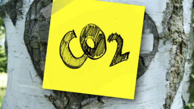climate disclosure