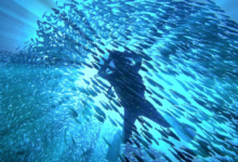 World Oceans Day 2023