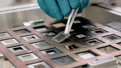 Perovskite photovoltaic cells