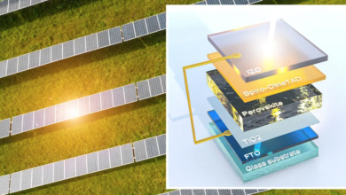 double sided solar cells