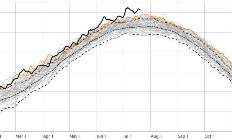 global warming