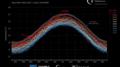 Hot record of July 2023