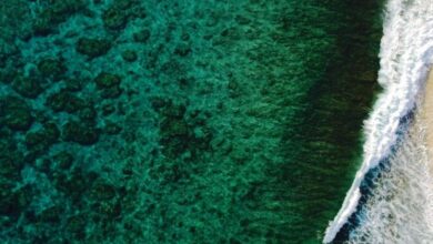 Oceans are changing color