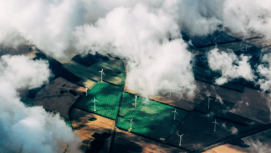 renewable energy production cost
