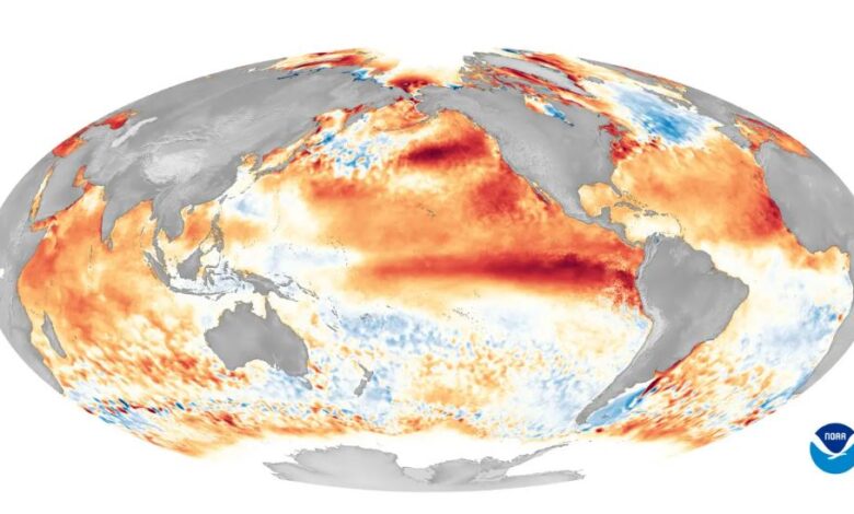 impact of El Niño