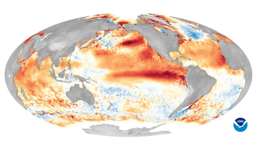 impact of El Niño