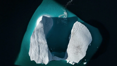 Arctic ice