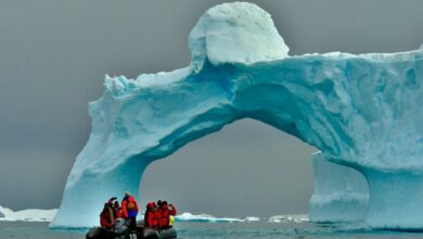 warming of Antarctica