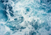 increase of CO2 in the oceans