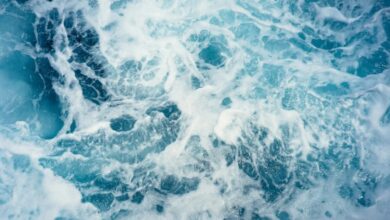 increase of CO2 in the oceans