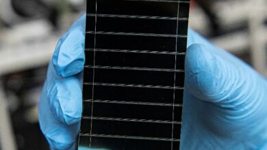 photovoltaic efficiency in perovskite