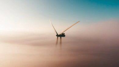 EU Renewable growth